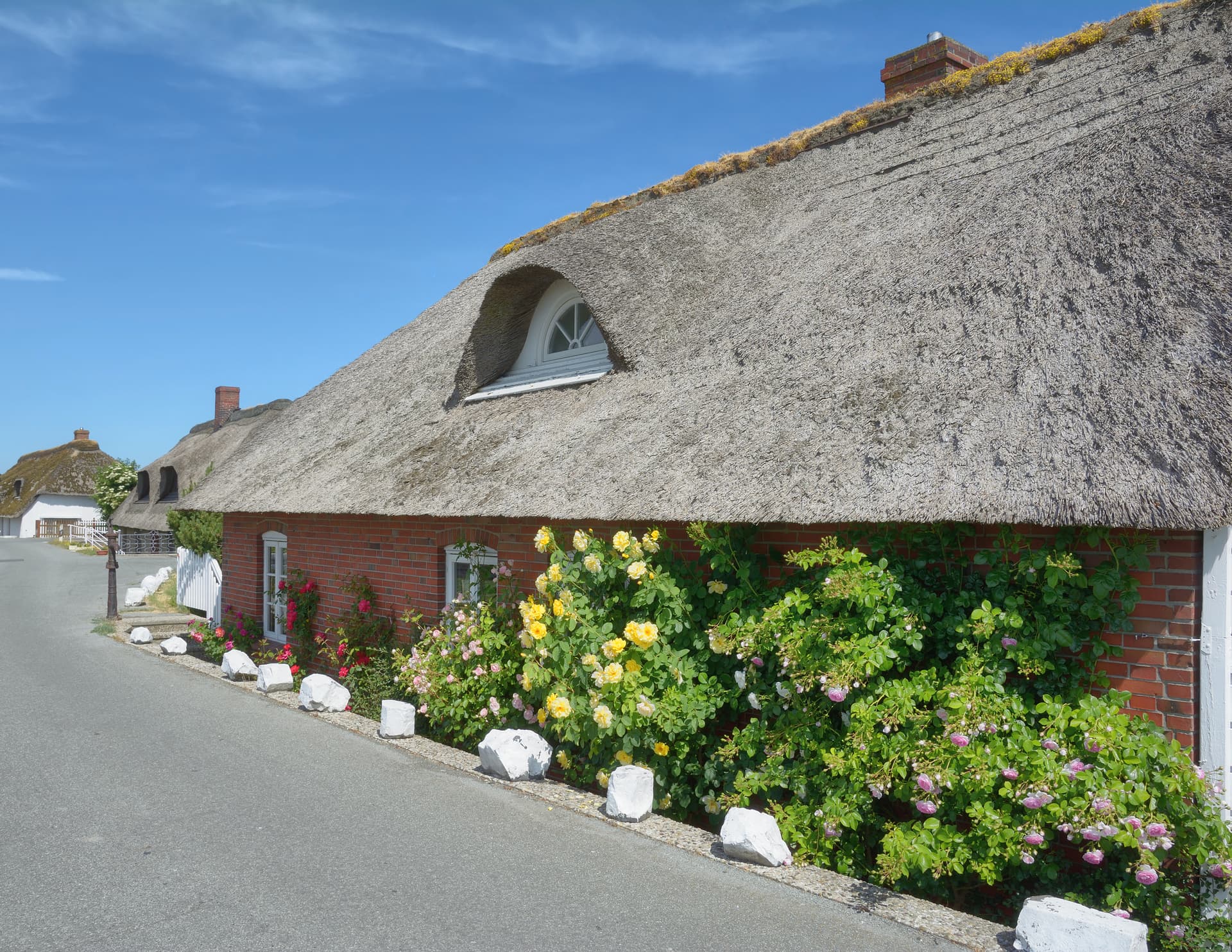 Thatch Design Consultation